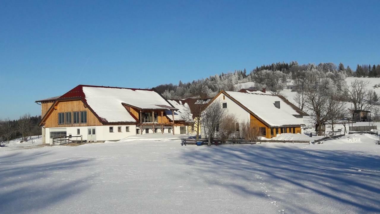 Oetscherblick Fam Winter Frankenfels Kültér fotó